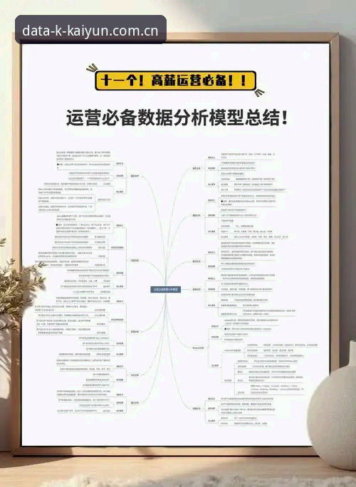 资深用户复盘：开云体育数据分析从入门到精通的实战经验